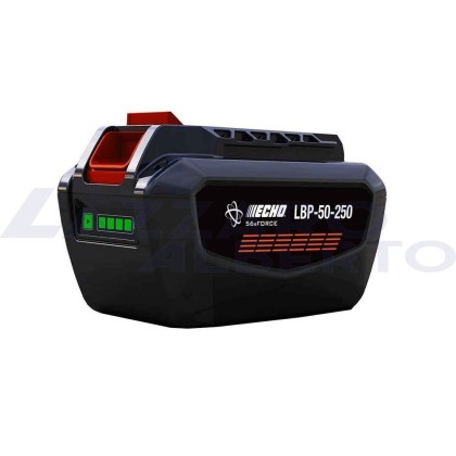 kit caricabatterie+batteria 226 wh compatibile con la gamma ECHO X SERIES