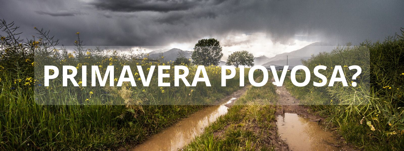 Primavera piovosa