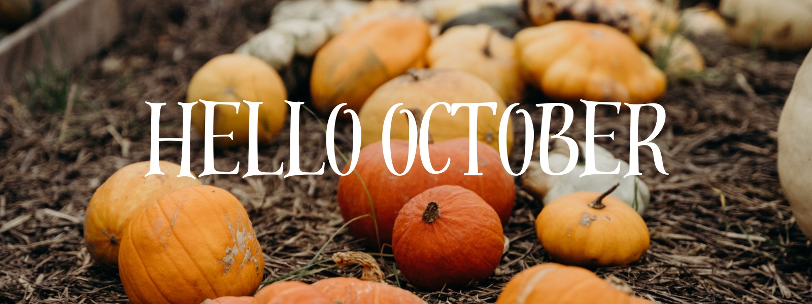 Il pollice verde...a ottobre