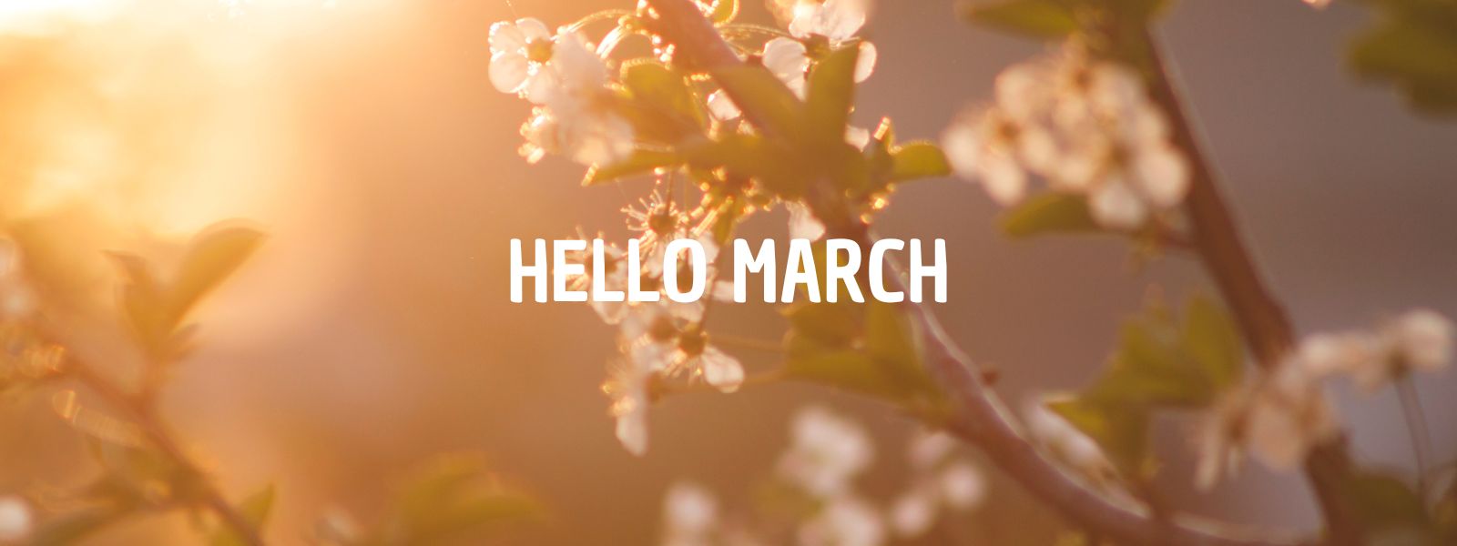Il pollice verde...a marzo