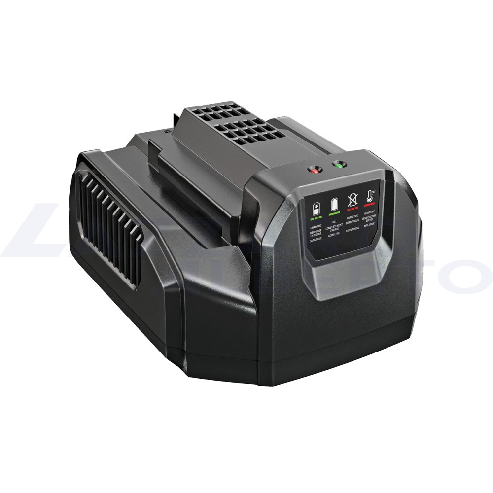 Caricabatterie standard - 210 Watt EGO CH2100E