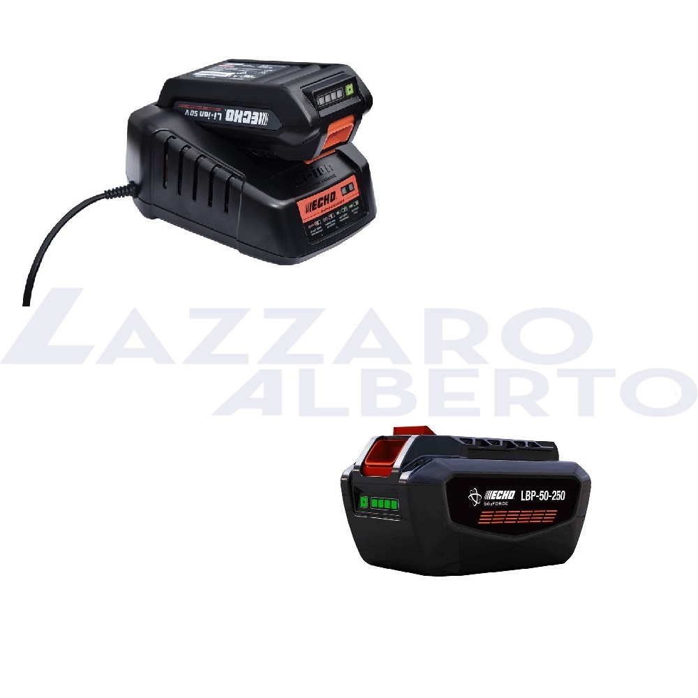 kit energia 2 echo caricabatterie+batteria 226 wh compatibile con la gamma ECHO X SERIES