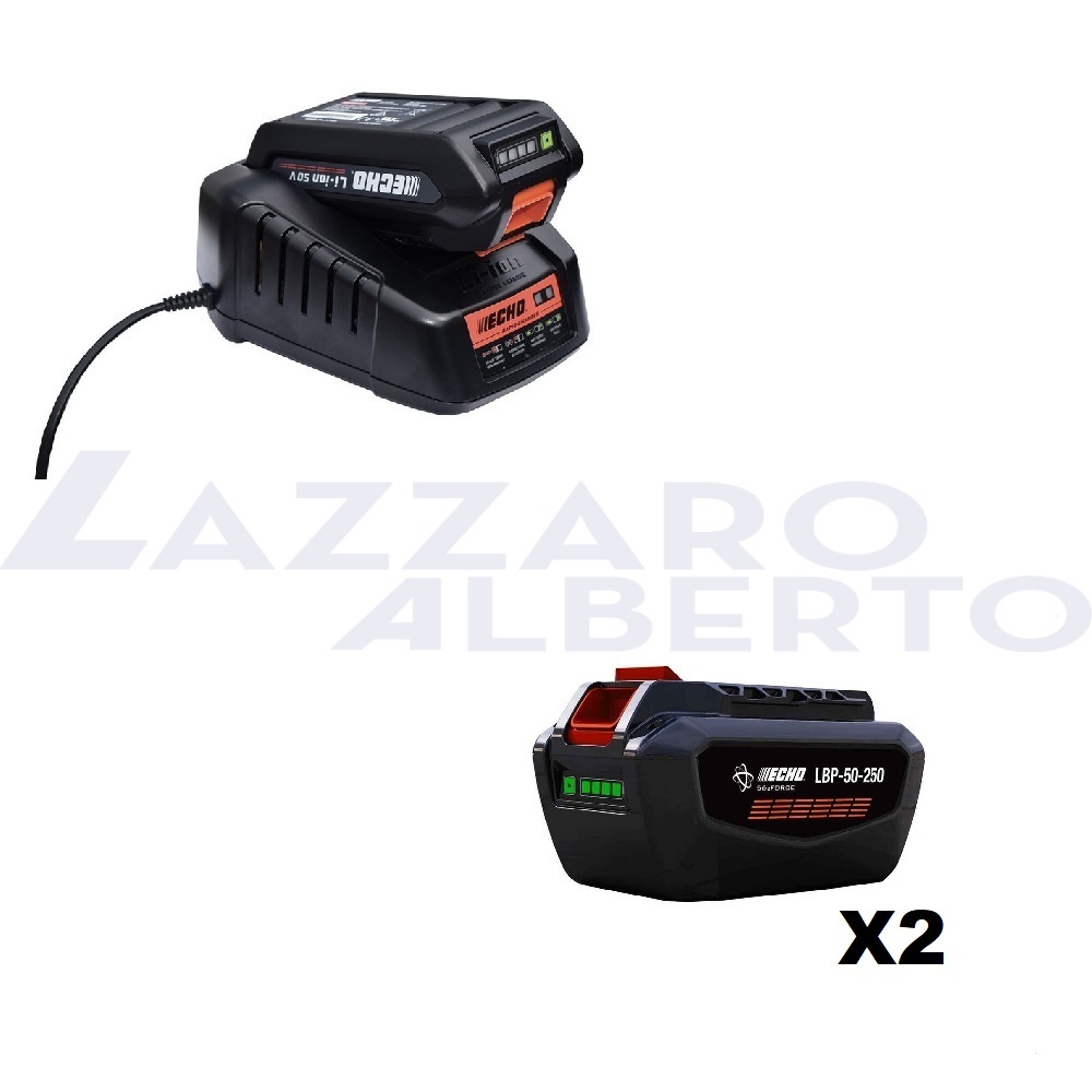 kit energia 4 echo caricabatterie+ 2 batterie da 226 wh compatibile con la gamma ECHO X SERIES