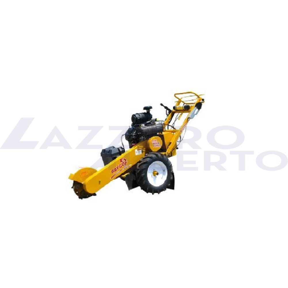 Fresaceppi RG 25 HD Rayco noleggio