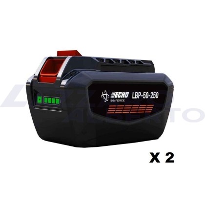 kit caricabatterie+ 2 batterie da 226 wh compatibile con la gamma ECHO X SERIES