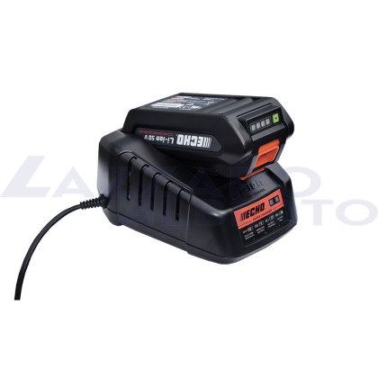 kit energia 2 echo caricabatterie+batteria 226 wh compatibile con la gamma ECHO X SERIES