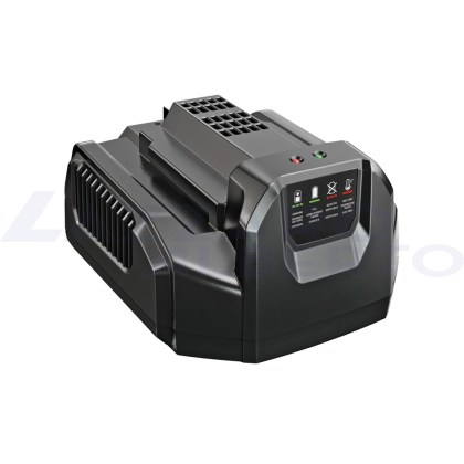 Caricabatterie standard - 210 Watt EGO CH2100E