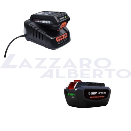 kit energia 2 echo caricabatterie+batteria 226 wh compatibile con la gamma ECHO X SERIES